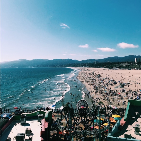 Meet your Posher, Rosie - Picture 1 of 1